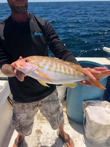 Lane Snapper Fishing In Saint George Sound